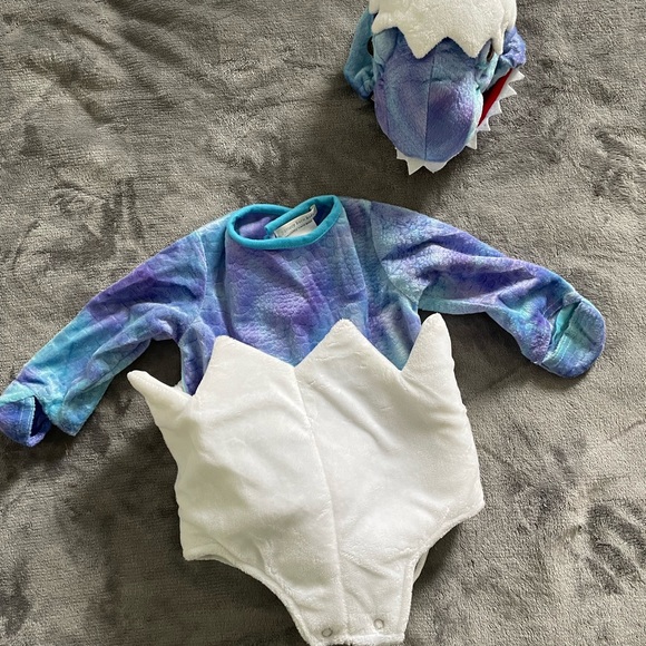 Pottery Barn Kids Other - Pottery Barn Baby Stegosaurs in egg costume 0-3 months